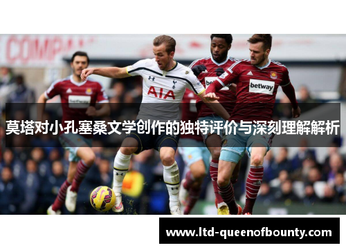 莫塔对小孔塞桑文学创作的独特评价与深刻理解解析