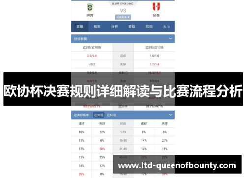 欧协杯决赛规则详细解读与比赛流程分析