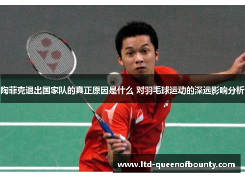 陶菲克退出国家队的真正原因是什么 对羽毛球运动的深远影响分析