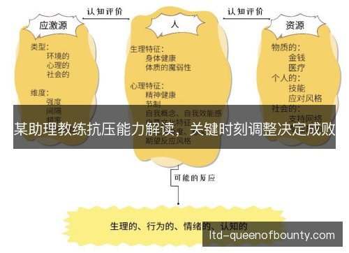 某助理教练抗压能力解读,关键时刻调整决定成败 某助理教练抗压能力解读,关键时刻调整决定成败